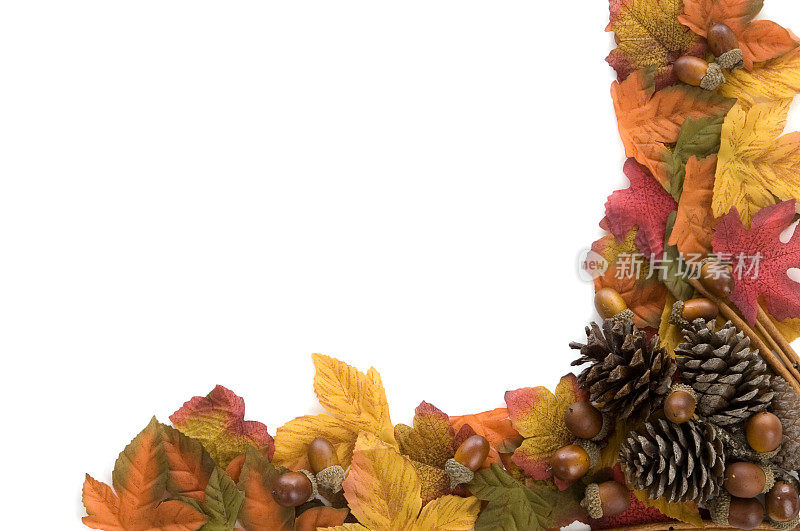 秋叶与松果相框