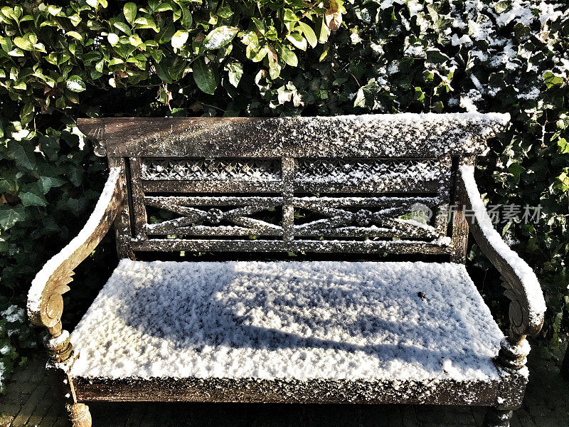 铺满雪的木凳，靠在月桂树篱上