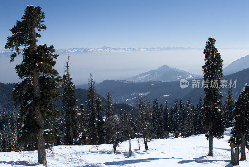 古尔马格峰