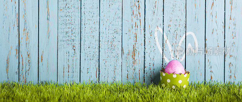 有趣的复活节彩蛋在蛋糕锅-兔子耳朵幽默