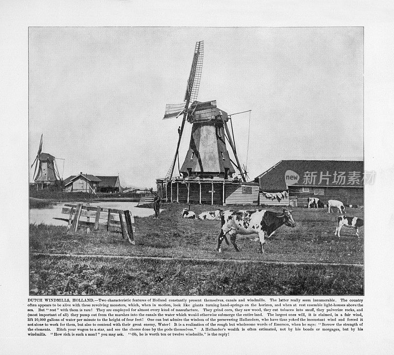 荷兰古董摄影:荷兰风车，荷兰，1893