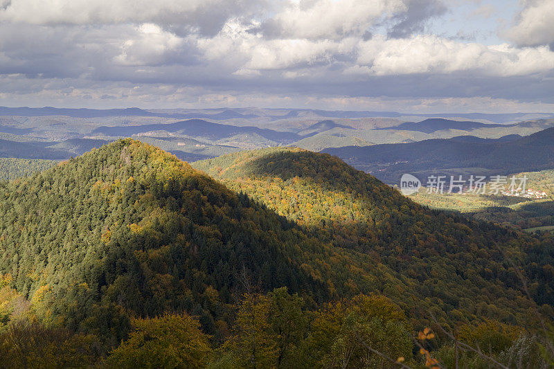 德国山