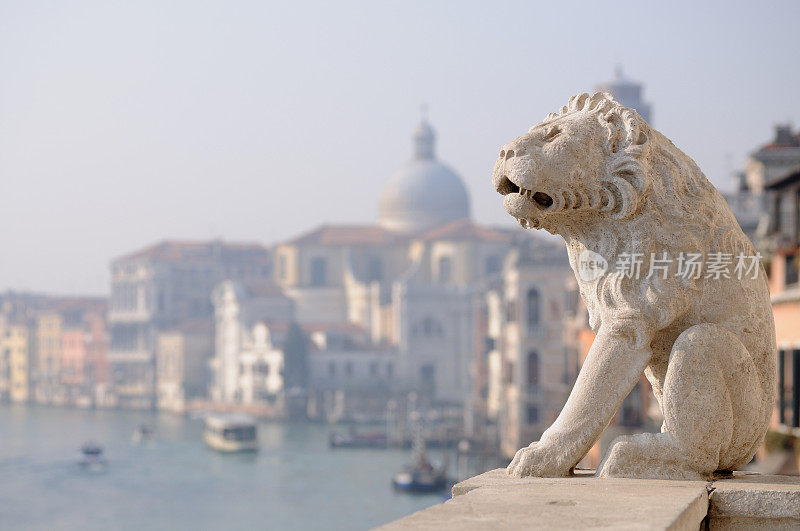 威尼斯的石狮
