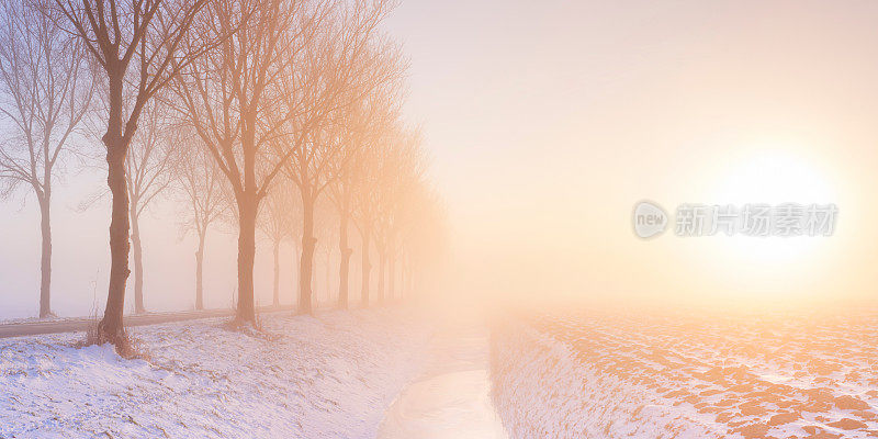 在荷兰典型的圩田景观中，冬天的雾日出