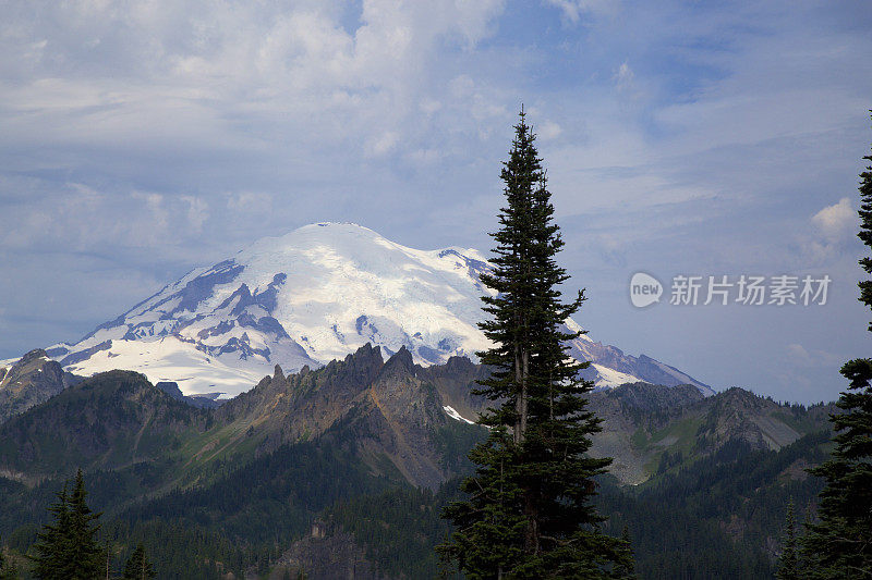 华盛顿的Rainer山