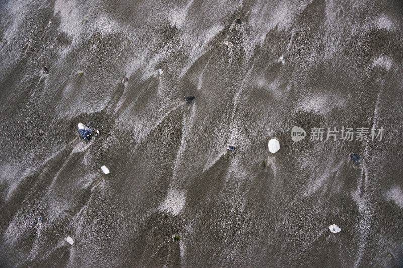 在退潮时用贝壳提取沙子