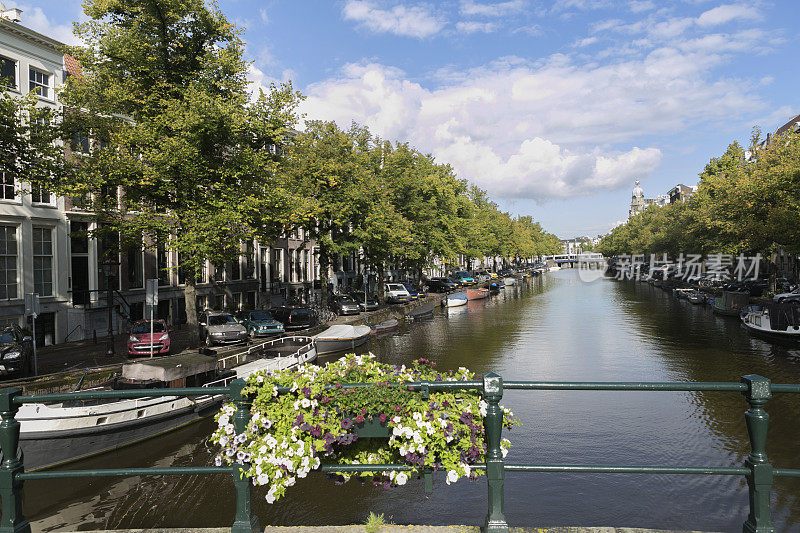 荷兰阿姆斯特丹水渠中的鲜花
