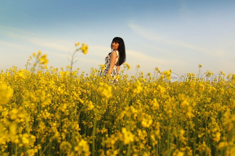 美丽的油菜田