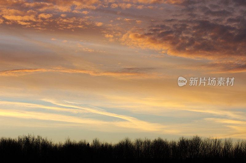 日落云景在林木线，复制空间，背景