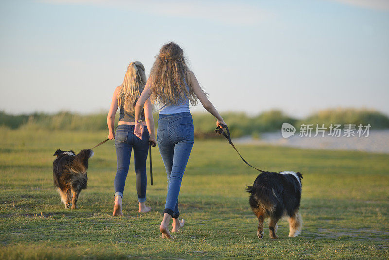 两个十几岁的女孩带着牧羊犬在沙丘上走