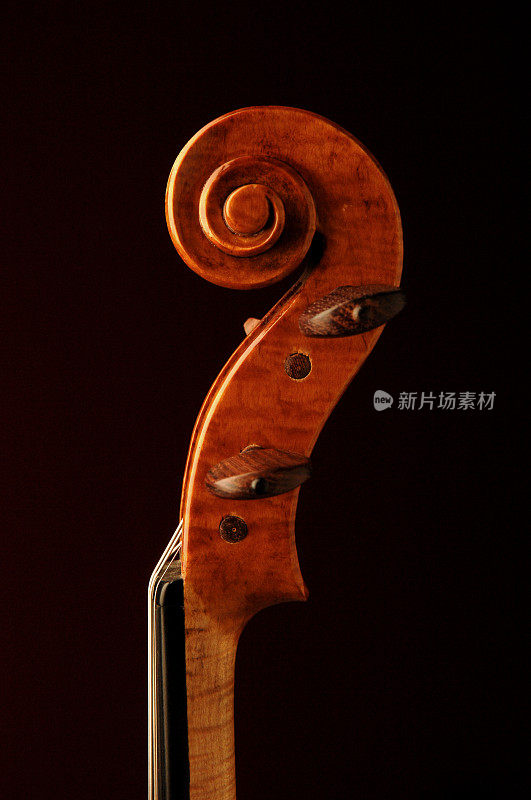 小提琴卷轴与玫瑰木调谐钉子侧视图上的黑色