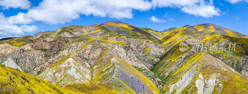 卡瑞佐平原，麦基特里克山顶下的鲜花覆盖的丘陵全景