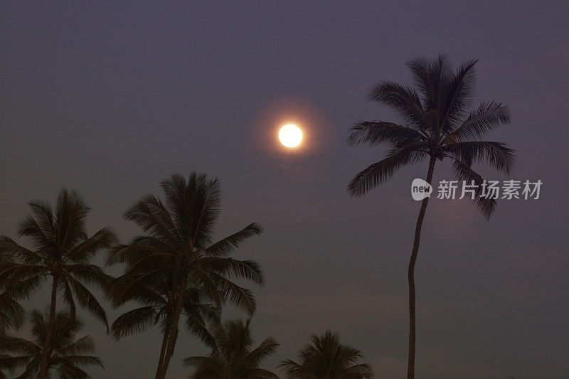 夏威夷考艾岛的满月、夜空和棕榈树