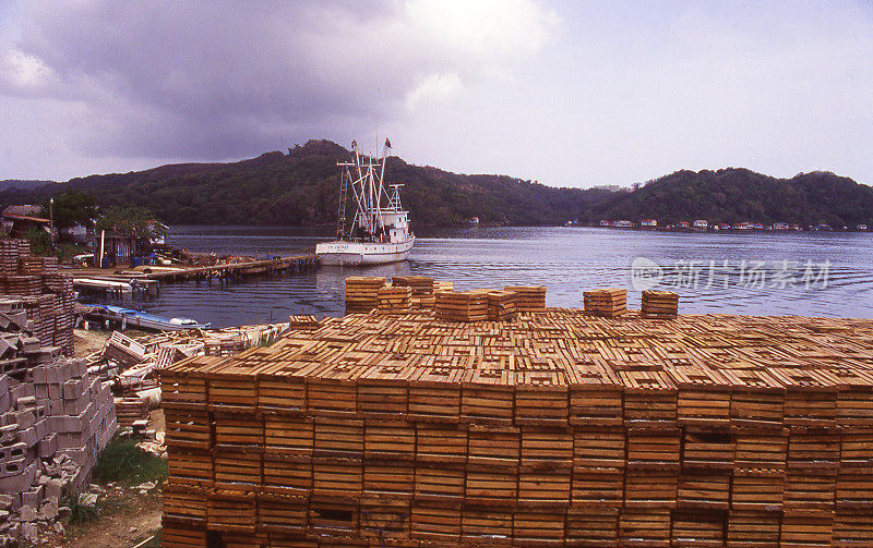 洪都拉斯罗阿坦湾群岛琼斯维尔码头上的拖网渔船和成堆的龙虾陷阱