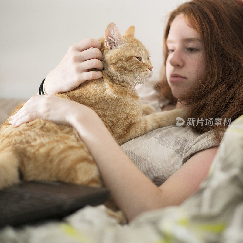 十几岁的女孩躺在床上，和红虎斑猫在一起，用笔记本电脑浏览社交媒体