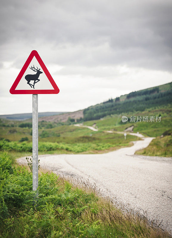 乡村道路上的鹿警告标志