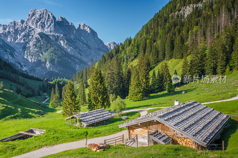 夏天阿尔卑斯山的传统山间小屋