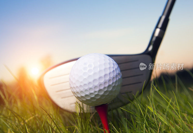 阳光下草地上的高尔夫球杆和球