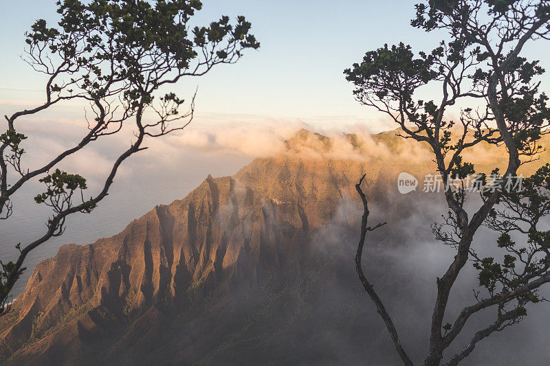 夏威夷山