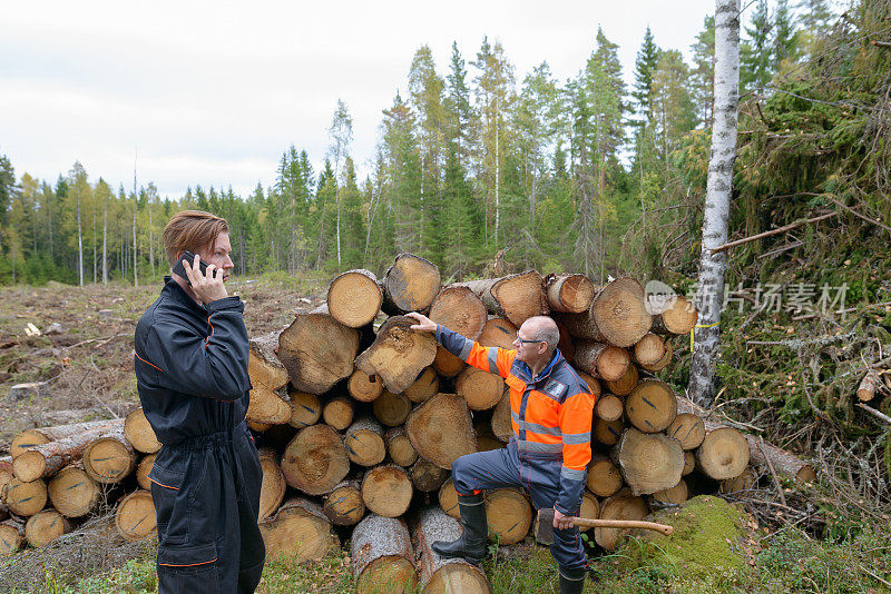 一个成熟的男人和一个年轻的男人一起在森林里工作