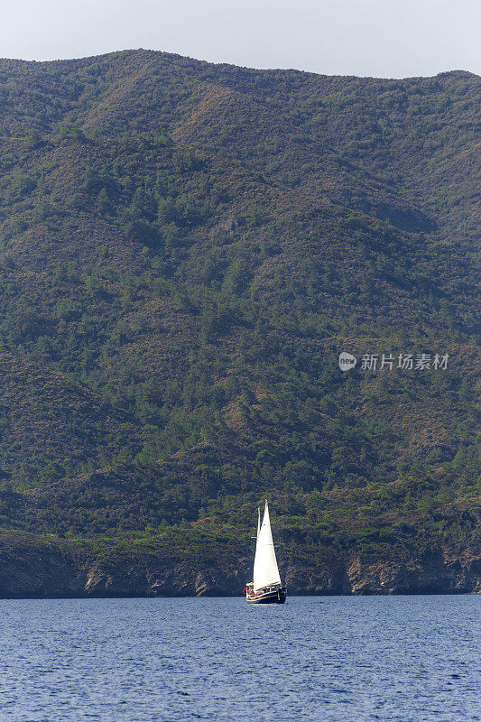 在土耳其穆格拉的波德鲁姆湾，传统的帆船在蓝色之旅中航行