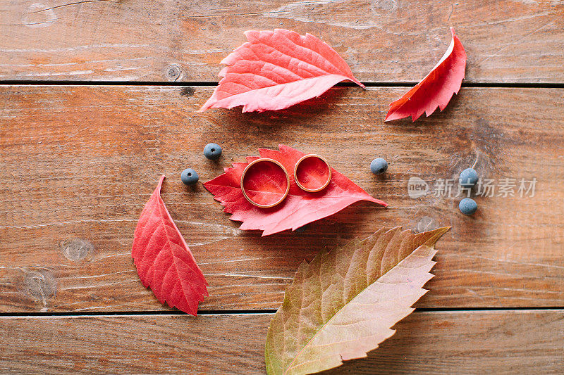 配件、秋装、婚庆用品概念。俯视图的两个不同大小的戒指新婚夫妇放置在红色的秋叶附近的黑浆果在木桌上
