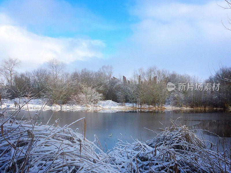 萨尔布鲁公园的雪。威托利亚-加斯泰兹。西班牙