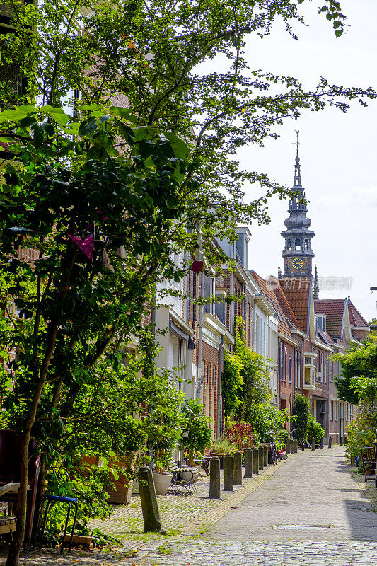 荷兰哈勒姆市的城市街道上有自行车。