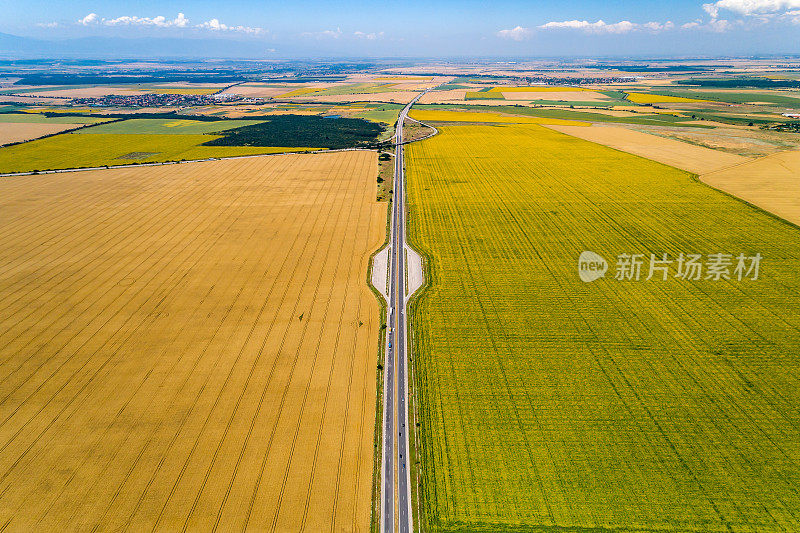 美丽的宽镜头之间的公路农业田鸟瞰图在夏季