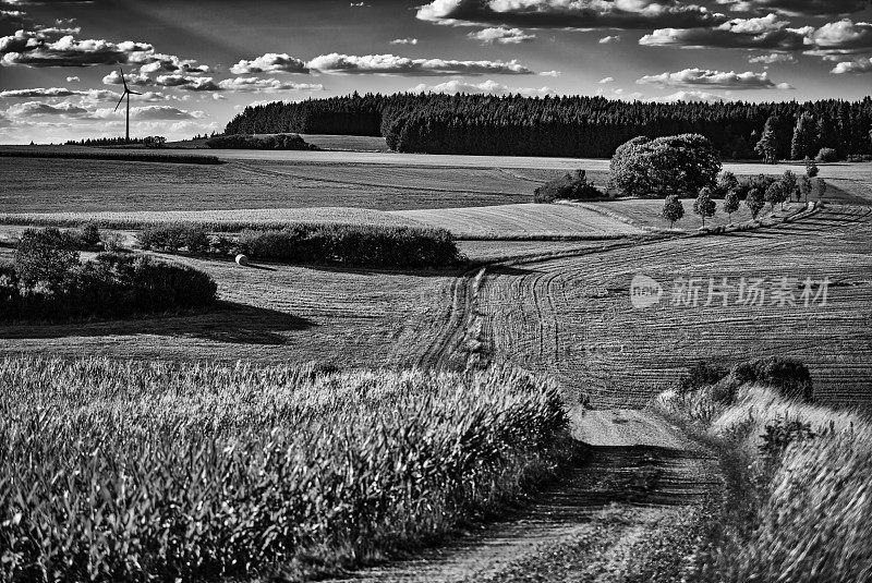 乡村景观中的乡村道路(HDRi)