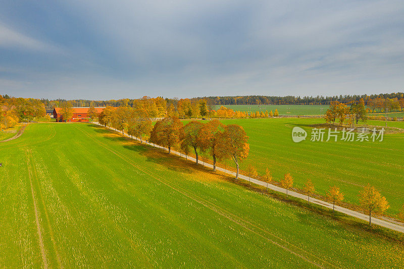 微小的道路景观，从上面鸟瞰