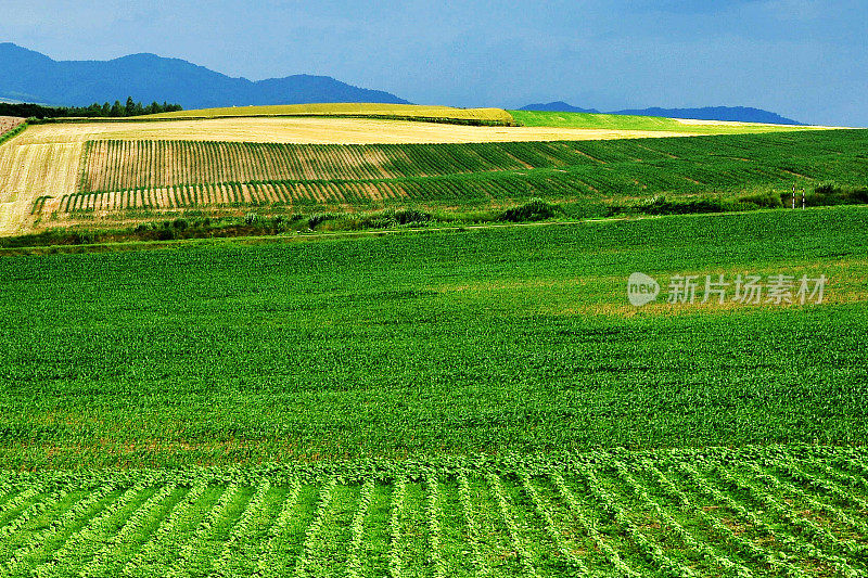 北海道春田VDCM100-3