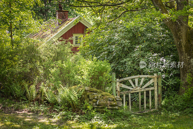 树林中杂草丛生的红色小屋