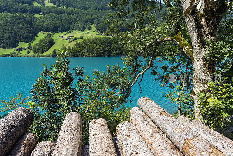 瑞士奥布瓦尔登的Lungern湖或Lungerersee湖边的原木