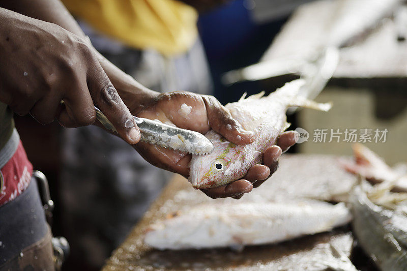 在安提瓜和巴布达的鱼市场准备出售新鲜的鱼