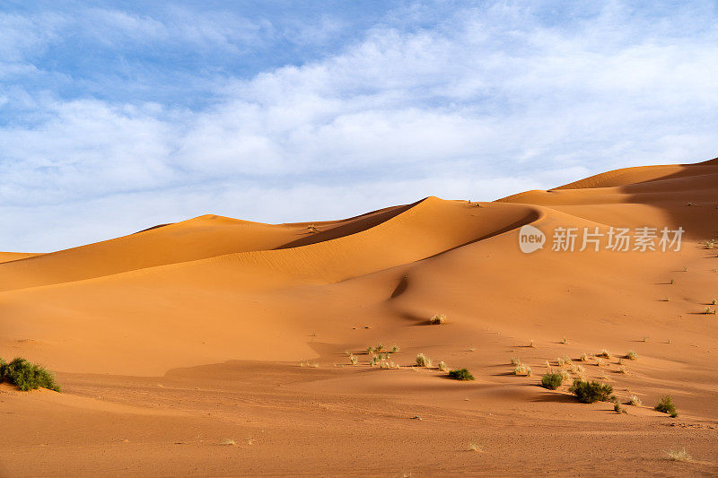 巨大的橙色沙状沙丘和多云的天空在Merzouga沙漠，摩洛哥。