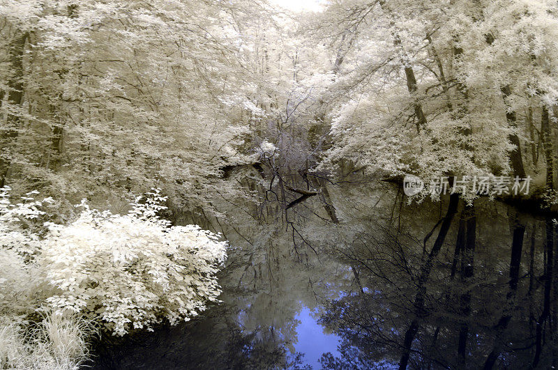 Pocomoke穿越河流