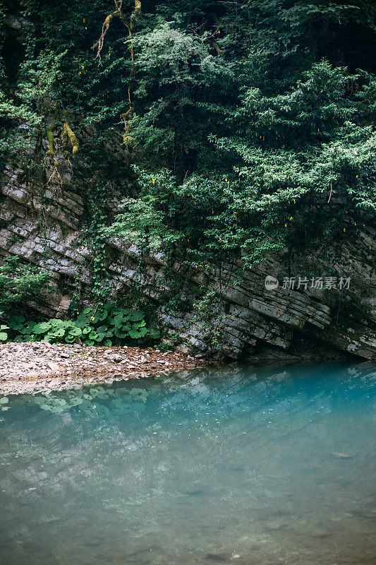 俄罗斯索契霍斯塔区高加索生物圈保护区紫杨树林热门旅游路线上的蓝山河