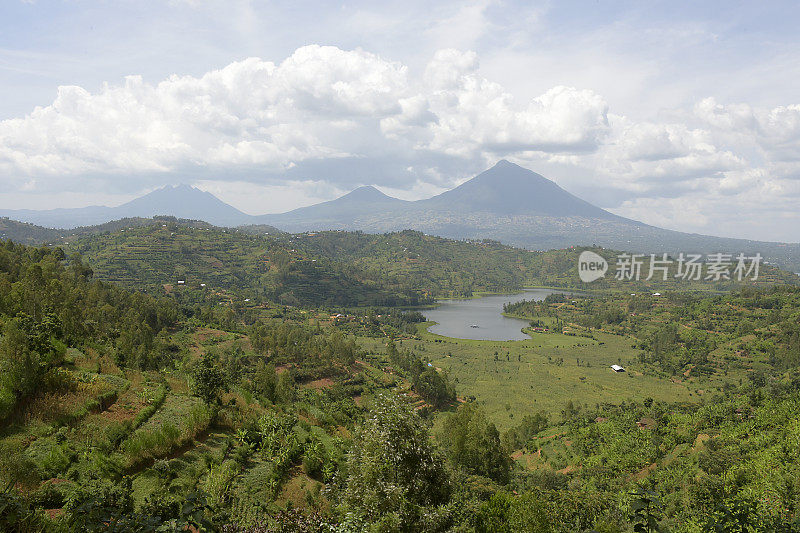 鲁洪多湖在维龙加火山山脉脚下-卢旺达