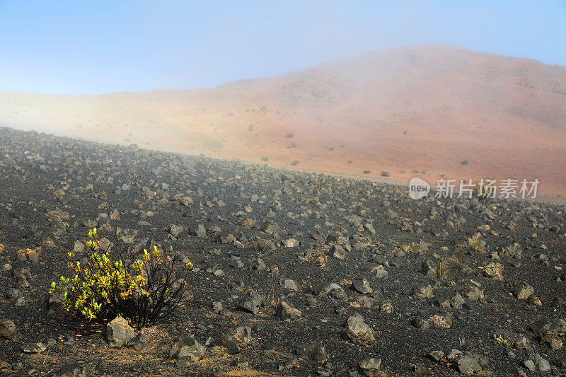 山顶的哈雷阿卡拉火山口