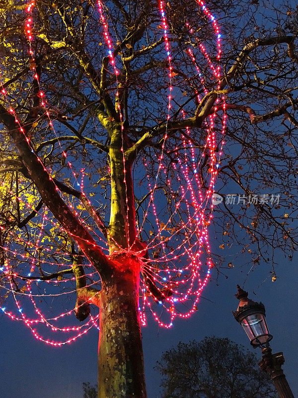 树上的花环，在香榭丽舍大街-巴黎