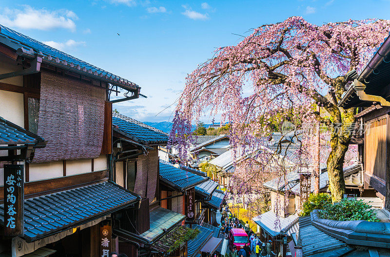 春天，日本的京都