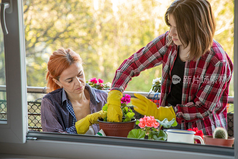 母亲和十几岁的女儿在阳台上种花，冠状病毒封锁