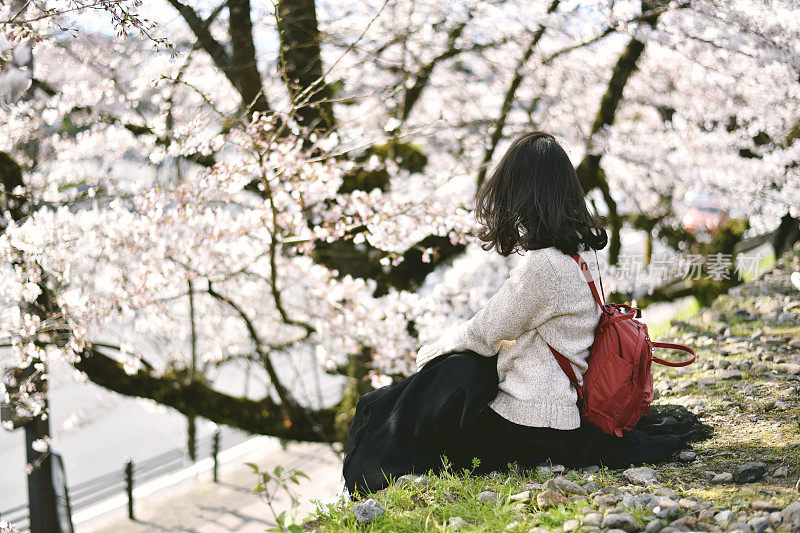 樱花盛开，亚洲女性游客在自然公园粉色花树隧道下，日本人享受传统的春天看花季节。