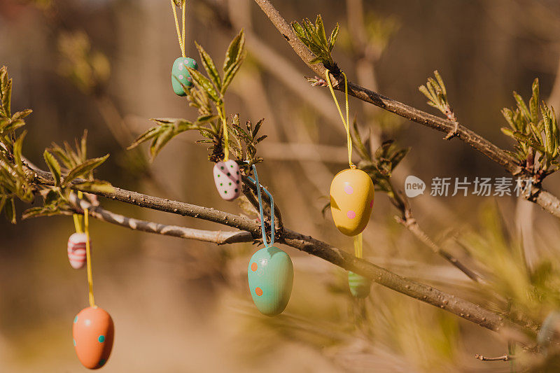 复活节彩蛋装饰挂在树枝在阳光户外