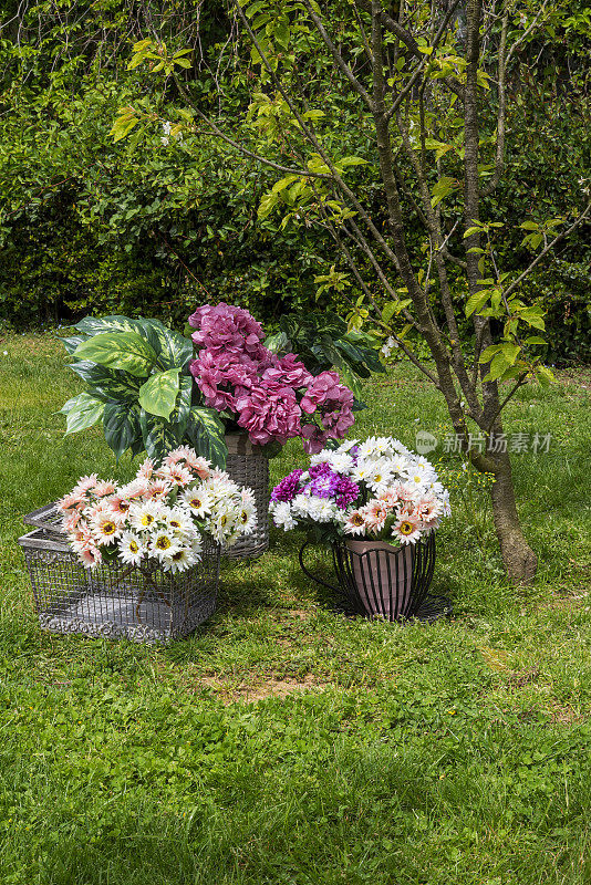 花在花园里的篮子里