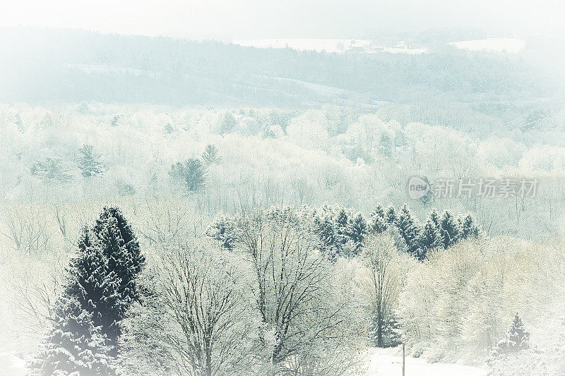 冬季仙境背景与雪