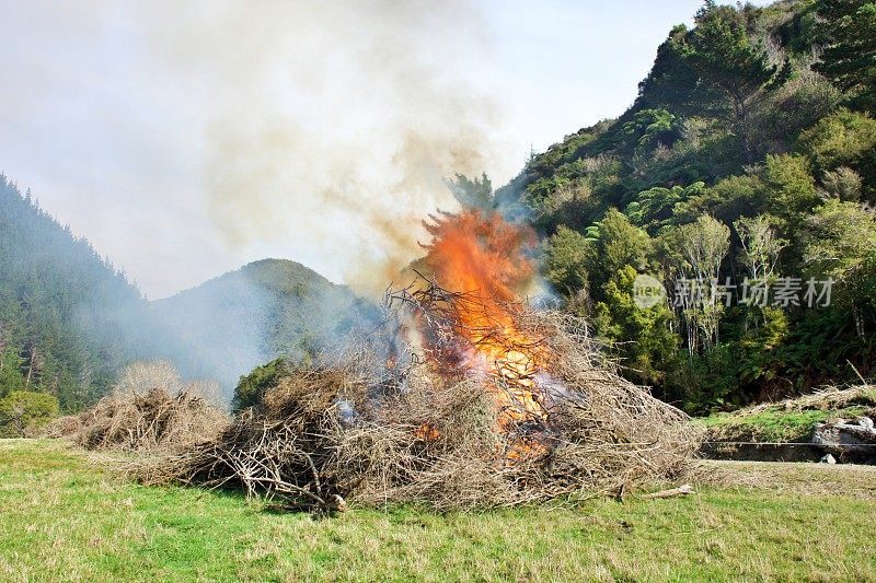 乡村场景中火被控制燃烧