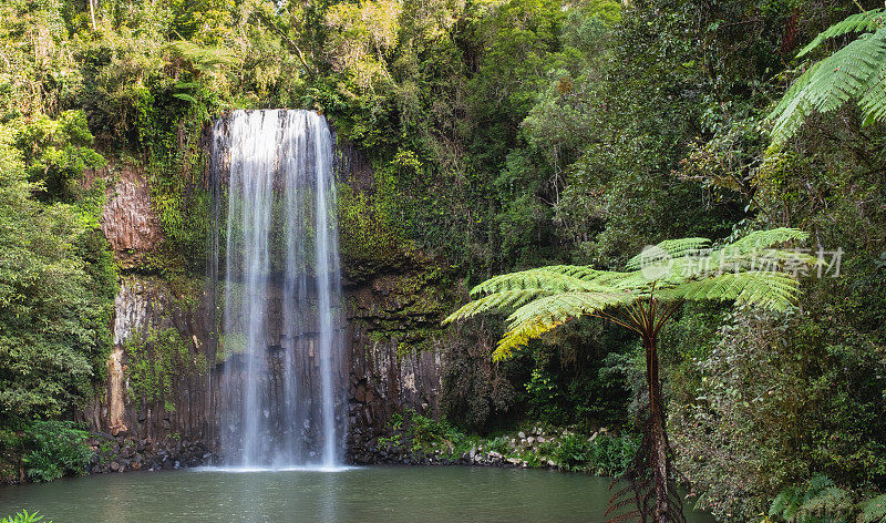 澳大利亚昆士兰的米拉瀑布