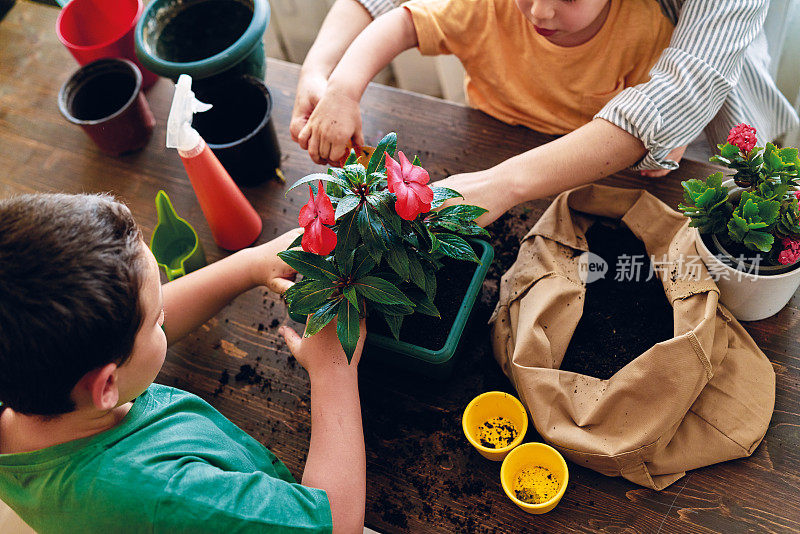 母亲和孩子在家里种植